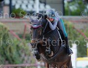 CAPPONI ROYAL STAR CampITA2013- S5 1221 : CAPPONI FRANCESCA, Campionati Italiani 2013, Cattolica, Horse Riviera Resort, ROYAL STAR, foto di Stefano Secchi ©